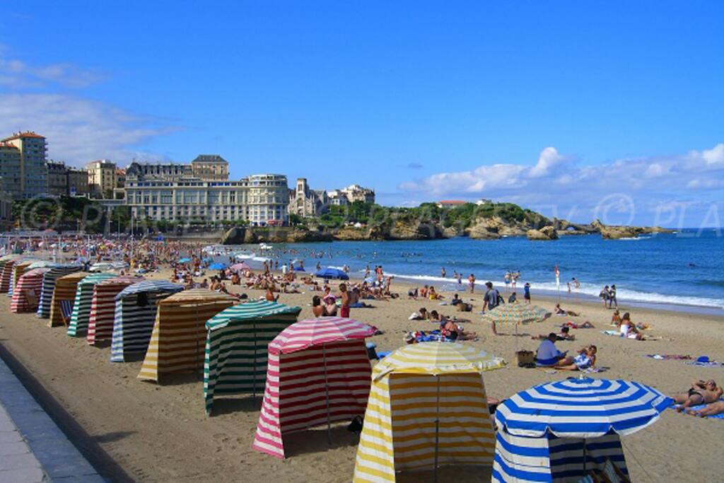 la grande plage au pied de la résidence