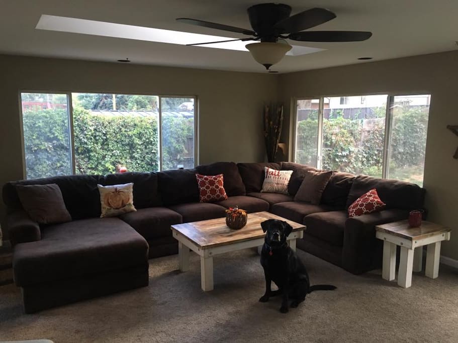 Shared Living Room and my dog Geno!