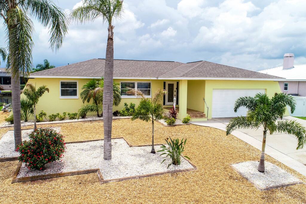 The Palm Tree