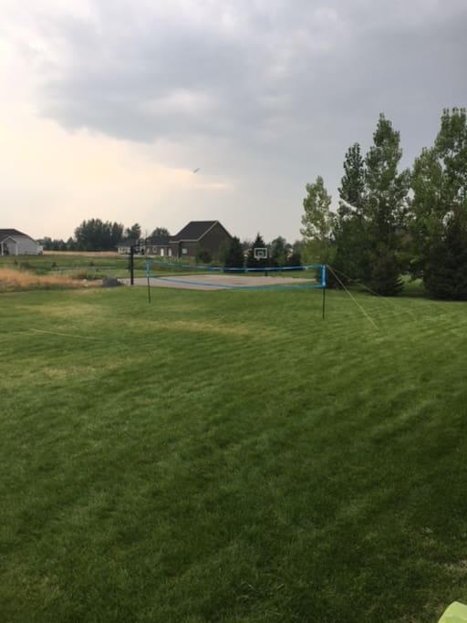 Back yard