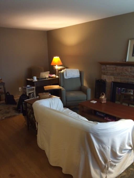 Living room with fireplace