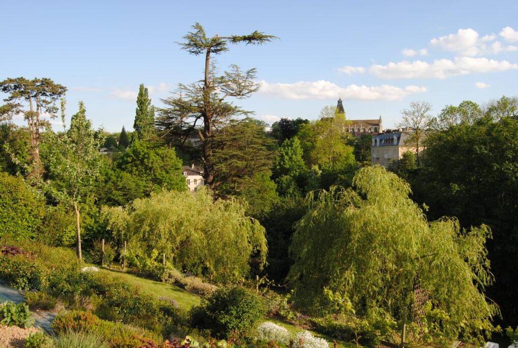 La vue de la terrasse