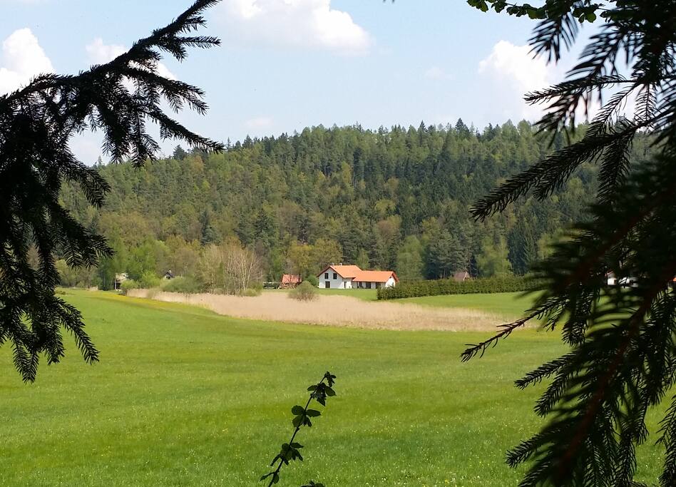 Polosamota obklopená lesy