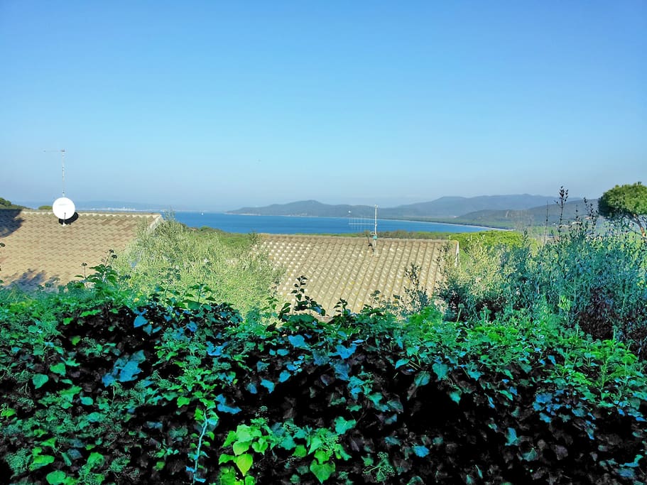 View from the property uppest side