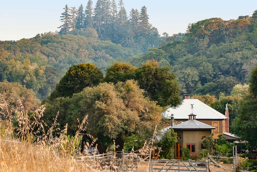 The Bunkhouse and Toll House nestled in the Oaks and Firs.