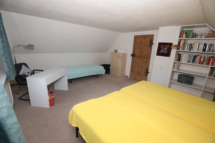 Стая 4 (3 легла)