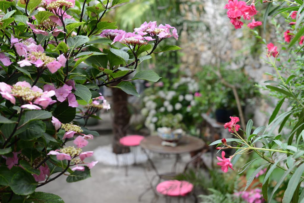 Le patio