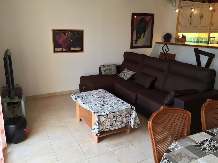 Le salon avec TV HD 107cm et grand canapé 4-5 places convertible en lit 140