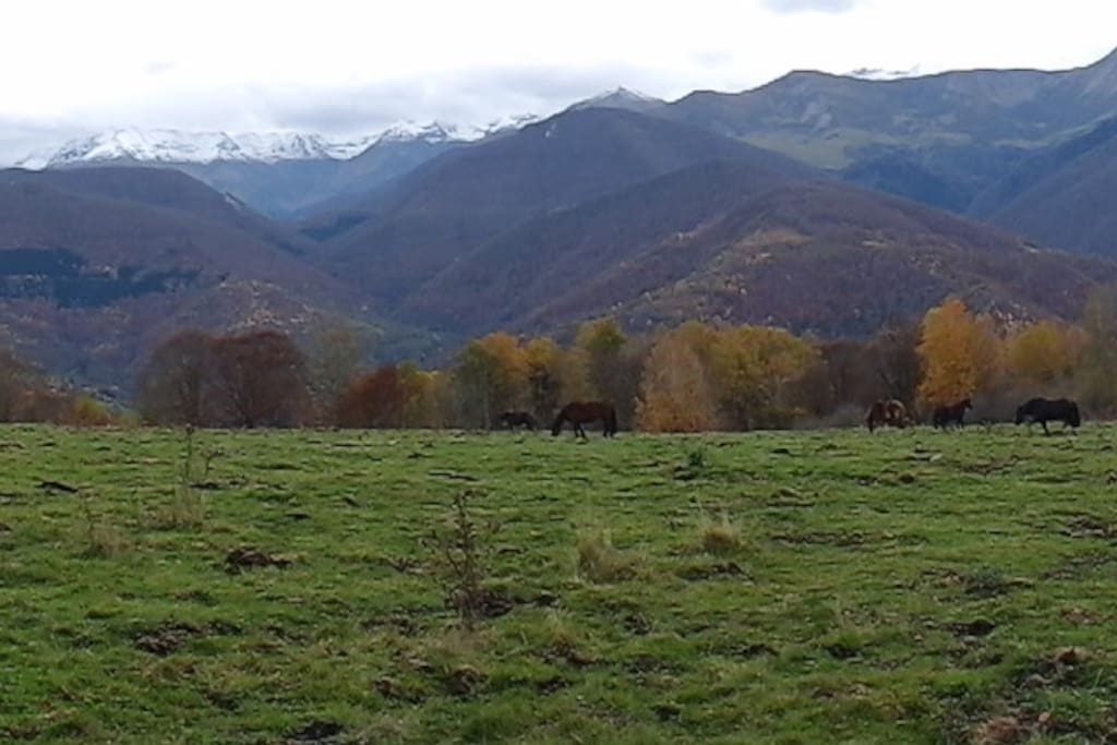 Exemple de balade au départ de la maison