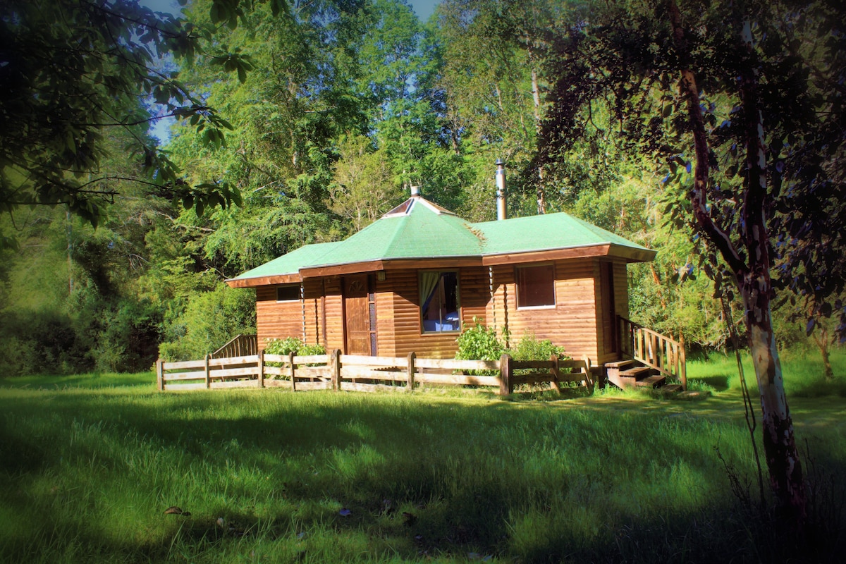 A charming wooden cabin is nestled in lush greenery, featuring a distinct octagonal shape and a welcoming green roof. A deck surrounds the cabin, and natural fencing complements the serene landscape. The surrounding trees provide a sense of tranquility and seclusion.