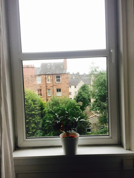 That's the view from your window