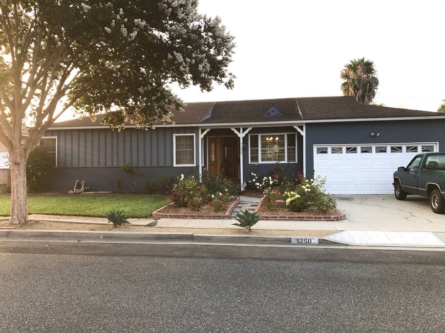 View from the front of the house with lovely rose garden