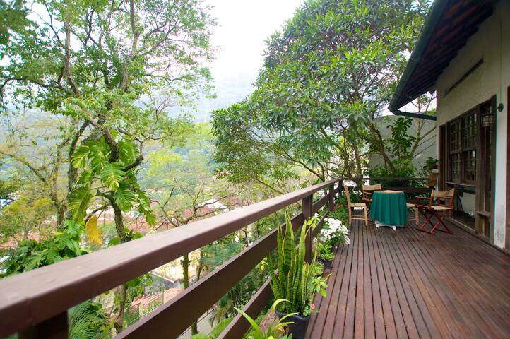 Enjoy Rio’s tropical forest at hand gallery image 5