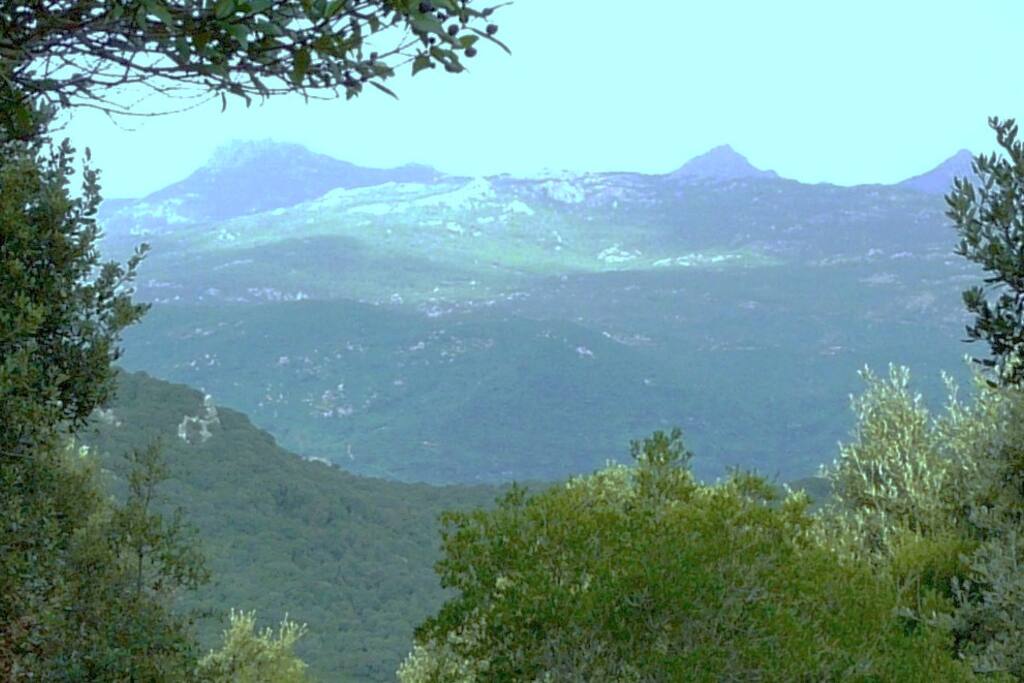 vue des terrasses