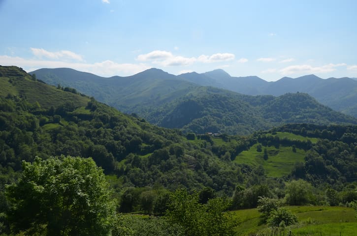 Cosy Apartment in Natural Park AR305