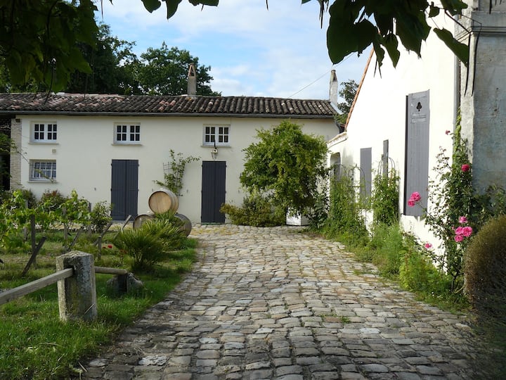 Batisse Du Xix Pour Un Séjour Paisible Et Gourmand - Margaux