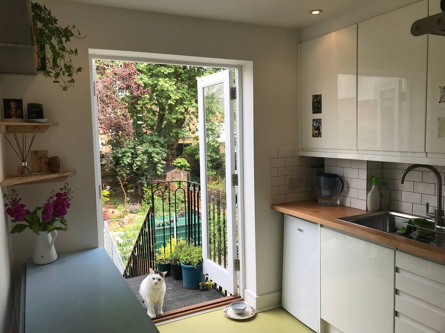 Kitchen and balcony