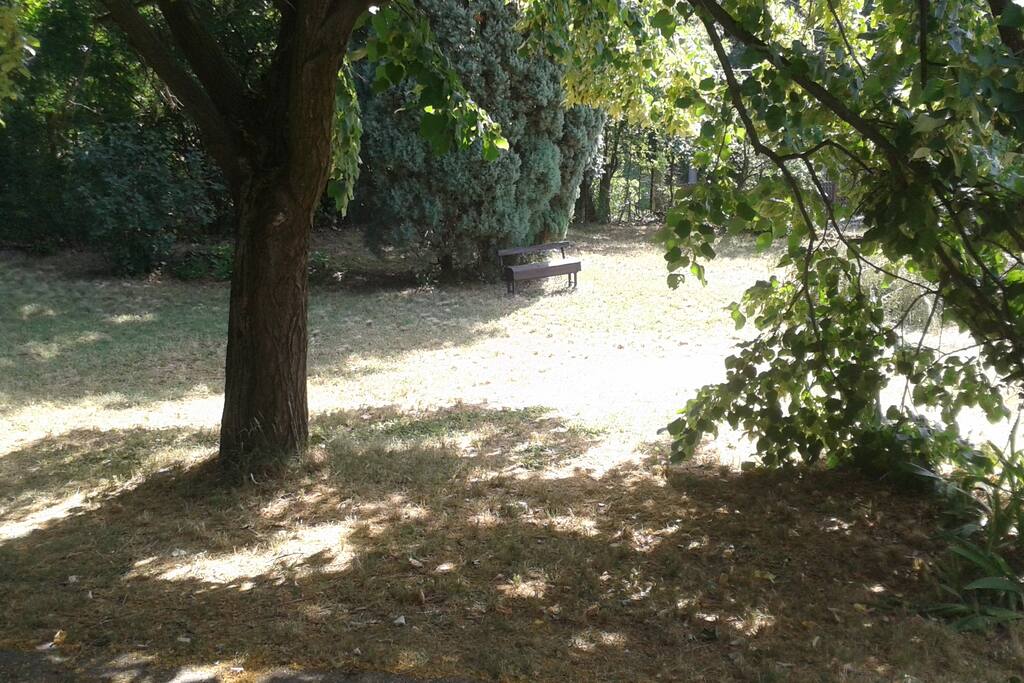 In the shadow of the lime tree