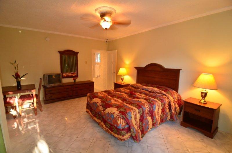 A spacious bedroom features a large bed with a patterned bedspread. Two bedside tables, each with a lamp, are positioned beside the bed. A wooden dresser holds a television, and a writing desk is located across from the bed. Natural light fills the room through the door.