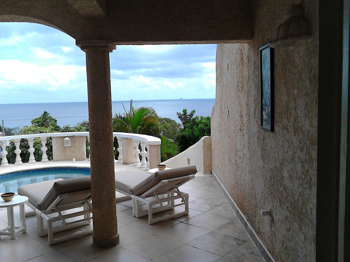 A view from the villa showcases a private dip pool and sun loungers on a patio, framed by stone columns. The horizon features the ocean, with lush greenery surrounding the area. Soft clouds drift over a calm sea, promoting a serene ambiance.
