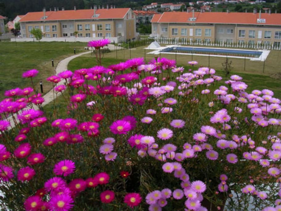 Vista desde la terraza a la piscina y jardín comunitario