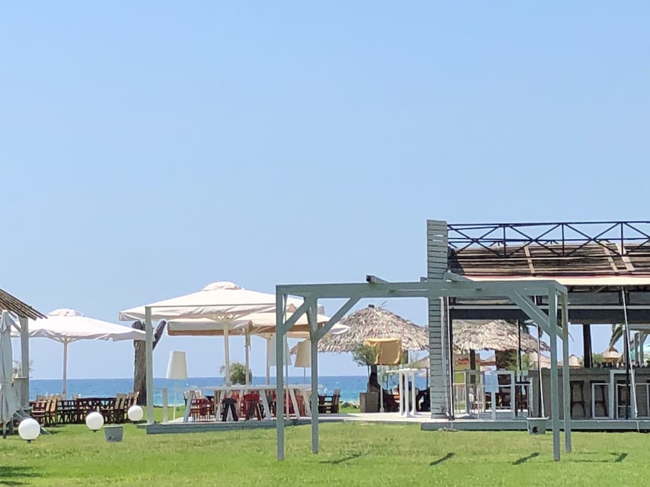 CONHO Beach bar with some birds umbrellas and menus 200 meters