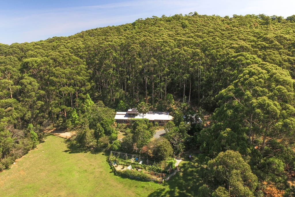 Hidden away in the forest, yet just a few minutes drive from beaches, lakes, national parks...and the buzz of Blueys Beach cafes and shops