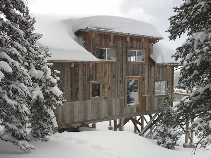 Anna's Cabin backcountry hut Cabins for Rent in Leadville, Colorado