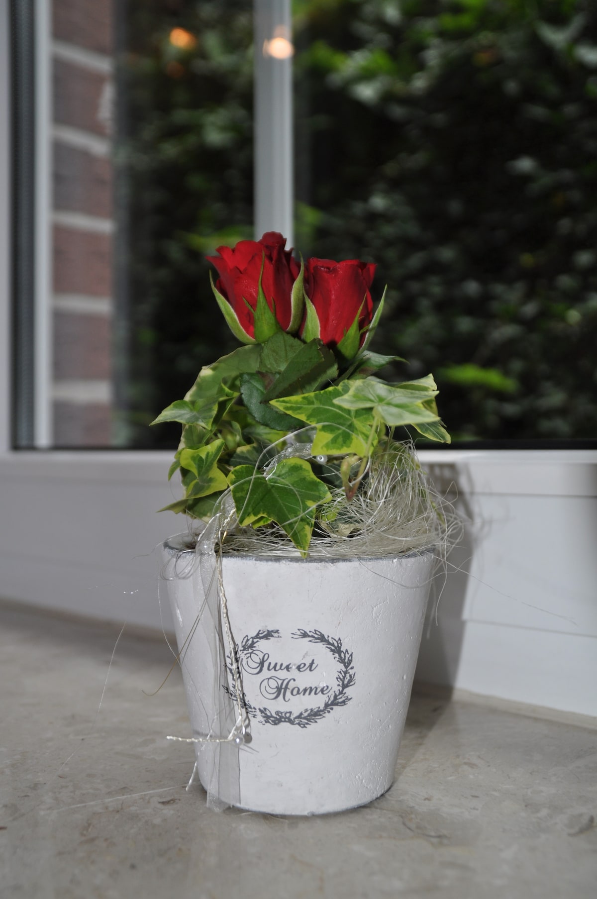 A small potted plant adorned with red roses and ivy sits on a window sill. The white pot features the text 'Sweet Home' in decorative lettering. Natural light filters in, creating a serene ambiance against the backdrop of greenery outside.
