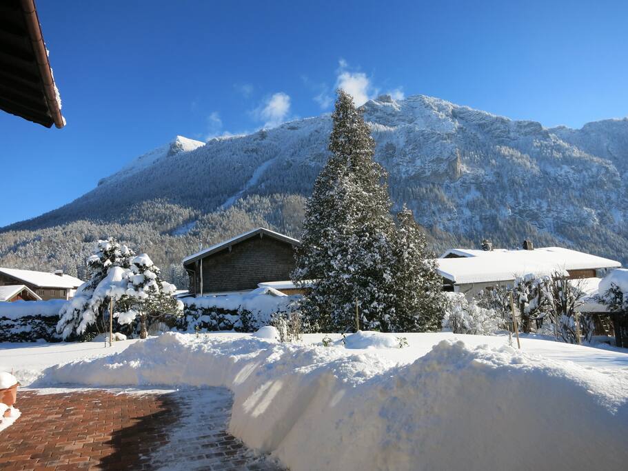 Winter - hiver