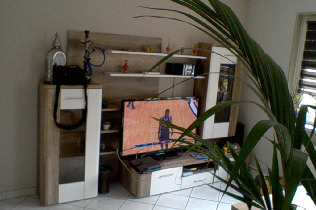 Salon chaines satellites bein canal + etc...