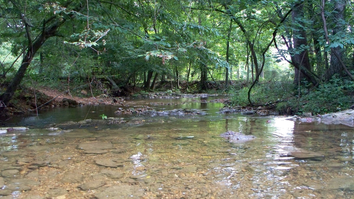 A shallow creek flows gently through a partially shaded area, surrounded by lush green trees. The clear water reveals smooth pebbles and rocks at the bottom, while reflections of the greenery are visible on the surface.