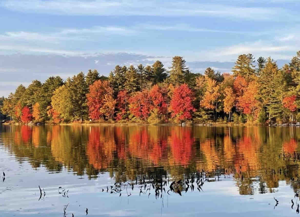 A serene lakeside view captures vibrant autumn foliage reflecting on still waters. The trees display rich shades of red, orange, and yellow, contrasting with the clear blue sky. Gentle ripples may be seen in the water, adding texture to the tranquil scene.