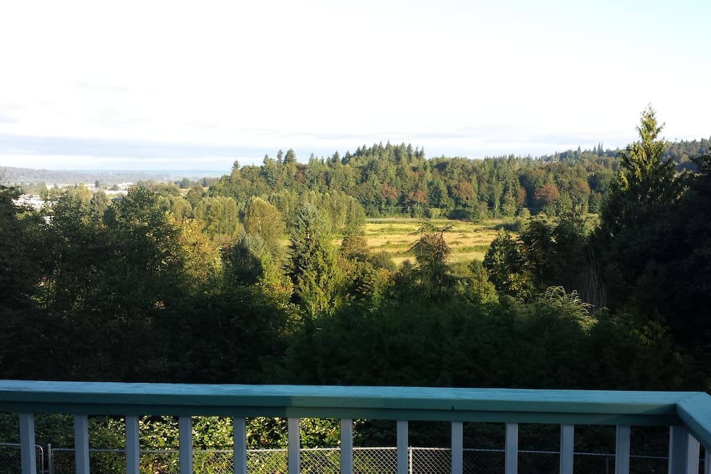 Lovely view across Woods Creek valley and the wooded ridge beyond.