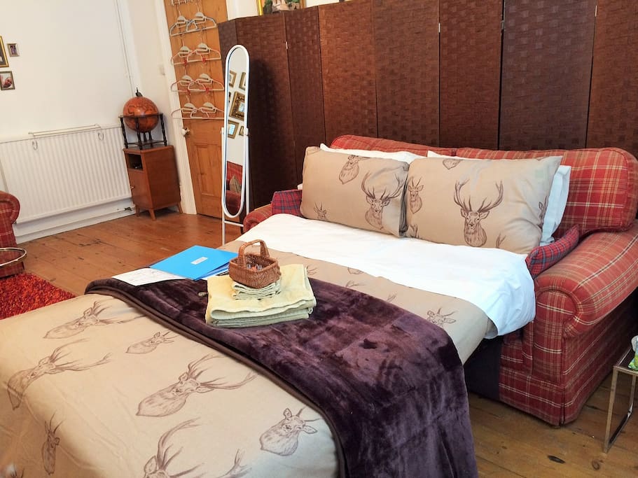 Double sofa bed (with memory-foam mattress topper) in ground floor living room.