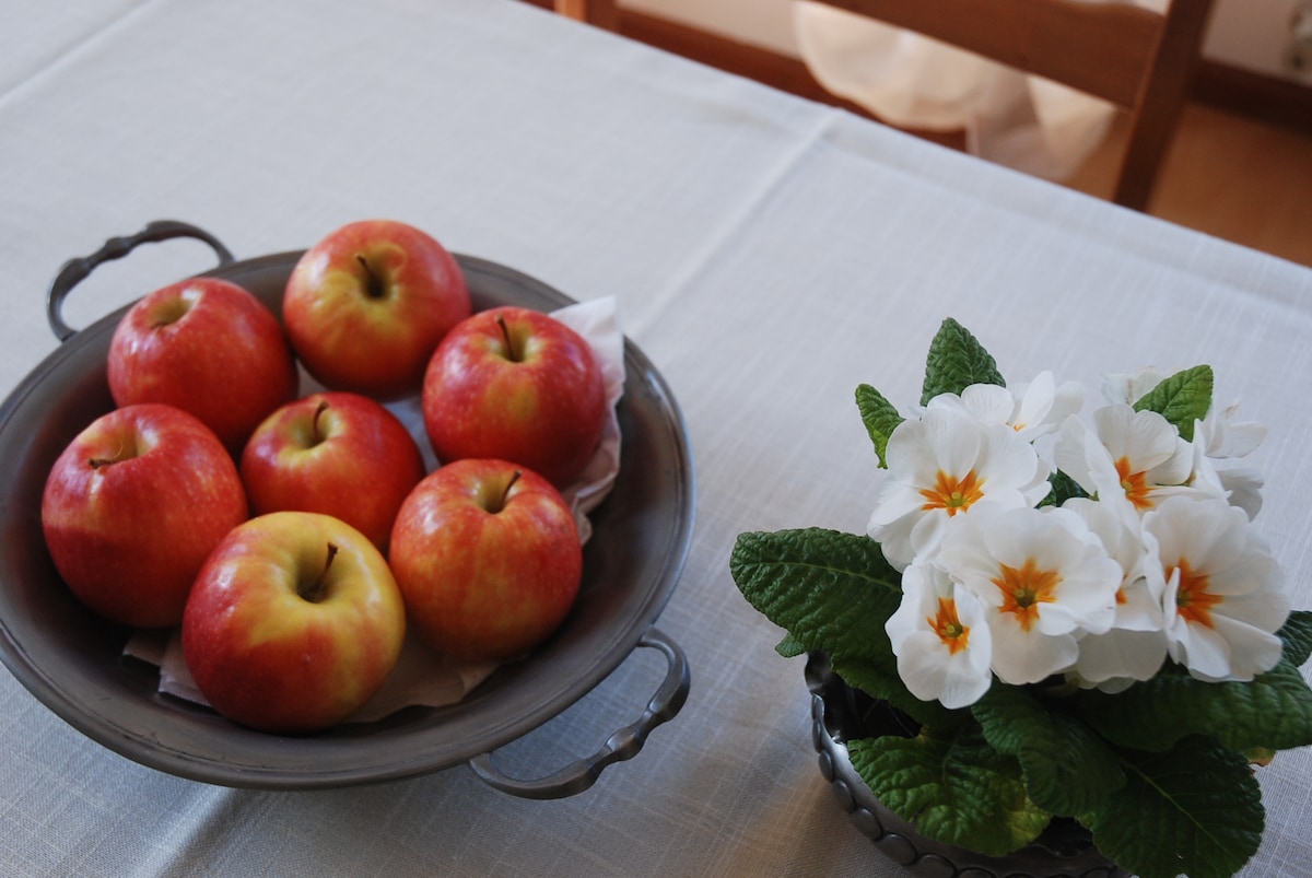 A round metal tray holds a collection of red and yellow apples, arranged neatly on a folded cloth. Beside it, a decorative pot features white flowers with yellow centers, surrounded by lush green leaves.