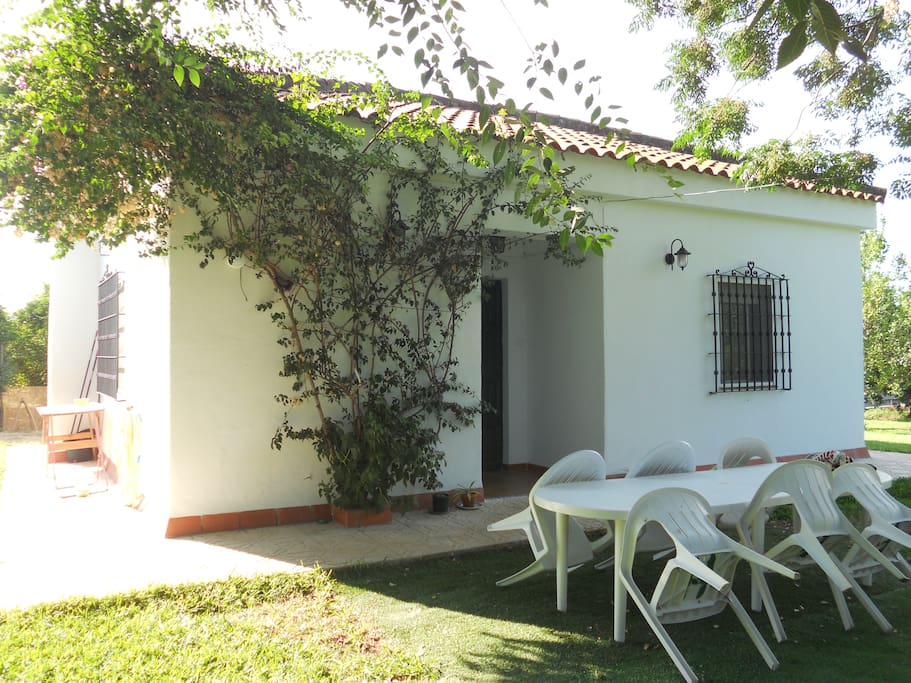 Vista jardín delantero 1