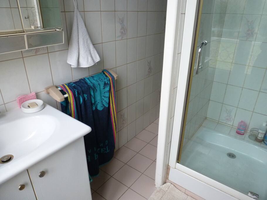 WC, douche et lavabo dédiés à nos visiteurs