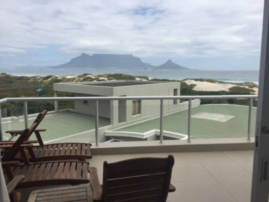 View from the Patio, Sun Loungers