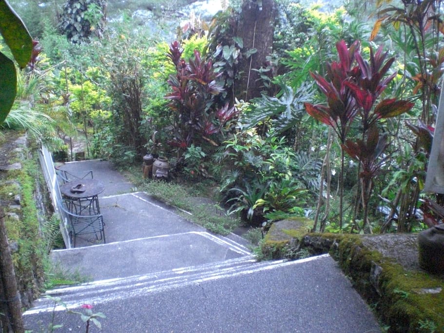 Garden walkway to the room.