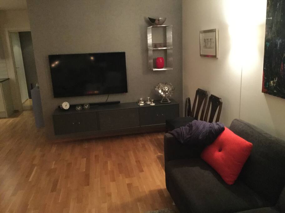 Stue + tv