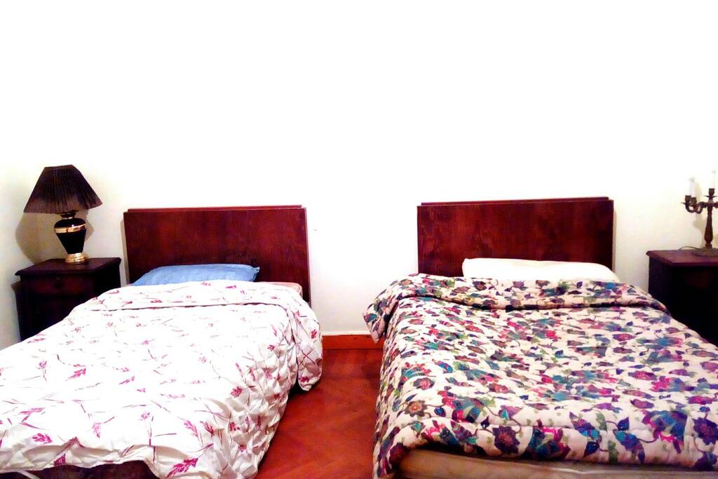 2 Beds in a specious sunny room in downtown Alexandria