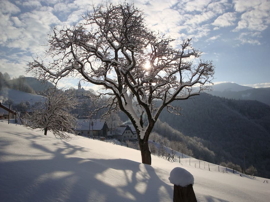 Stržišče in winter