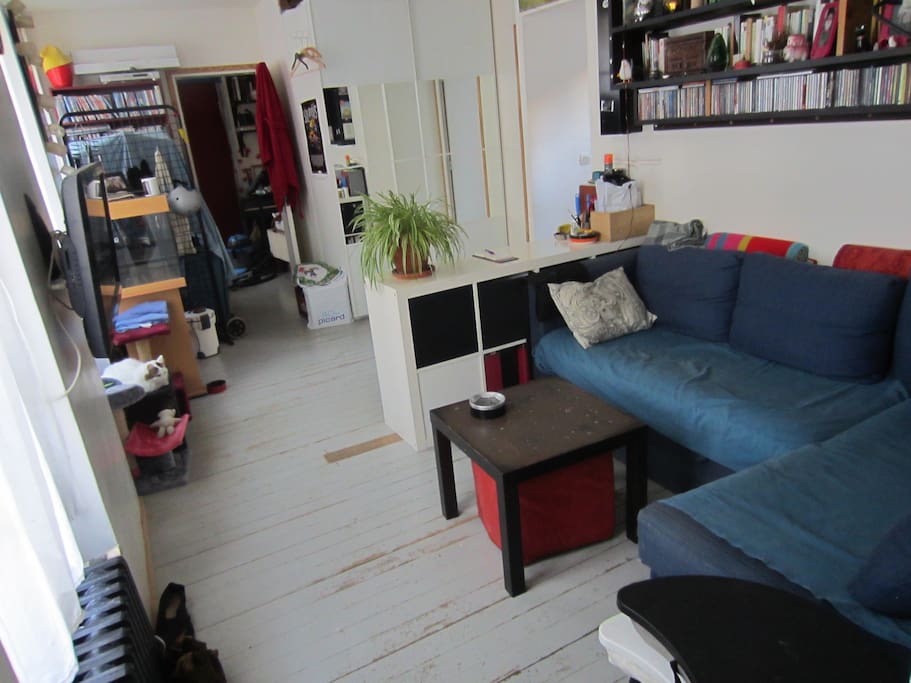 Le Salon / The Living Room