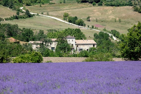 15th century farm, design remodeled