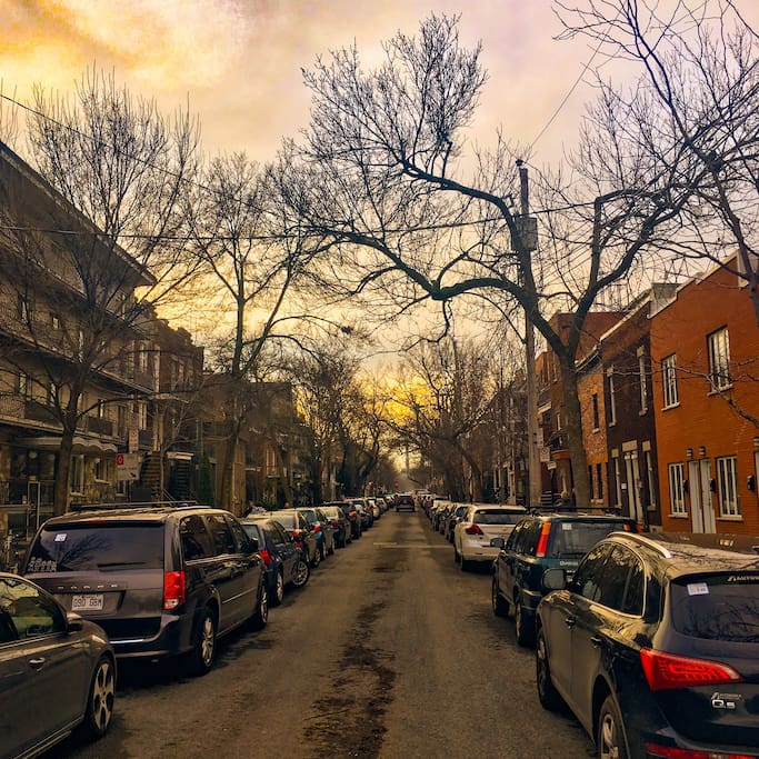 Spring in the Plateau