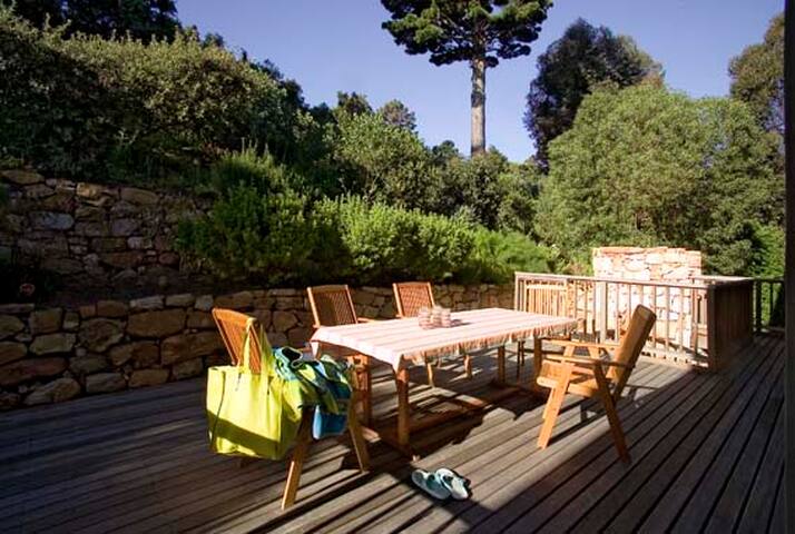 Views, trees, peace gallery image 2