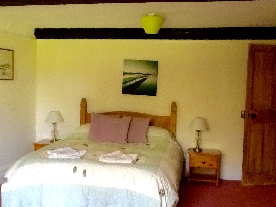 غرفة نوم بمقاس كبير في الطابق السفلي بسرير واحد يؤدي إلى الصالة. 