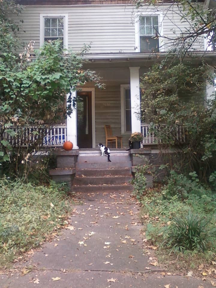 Private room+bath, NCSUtownAmtrak Bed and breakfasts for Rent in