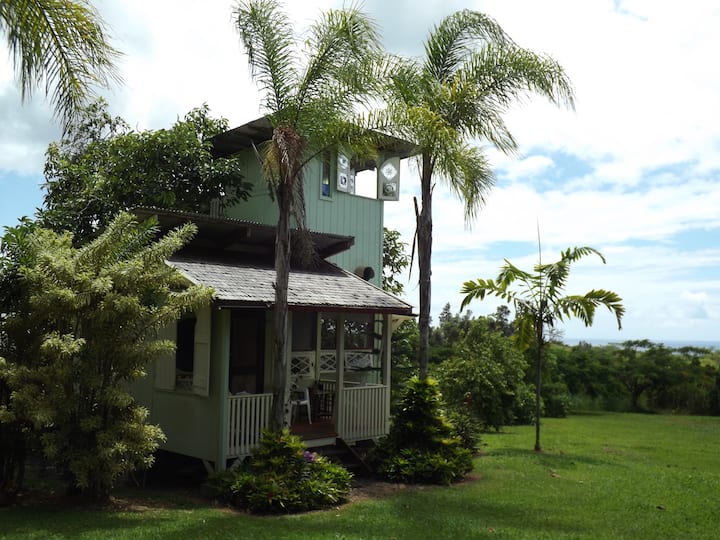 Avocado TreeHouse, near Pahoa, Big island, Hawaii Bungalows for Rent in Pāhoa, Hawaii, United